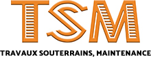 logo de TSM